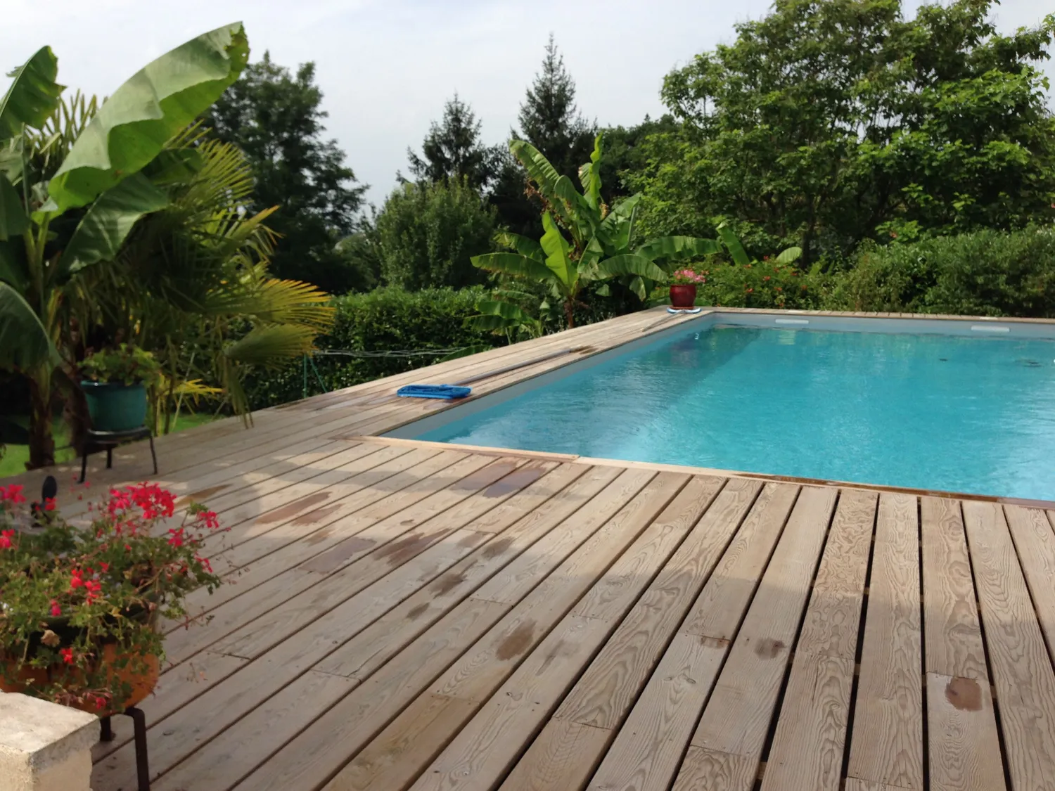 Entretien de jardin